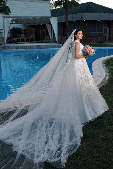 A-Line Charming V-Neck Sleeveless Tulle Floor-Length Wedding Dresses with Appliques