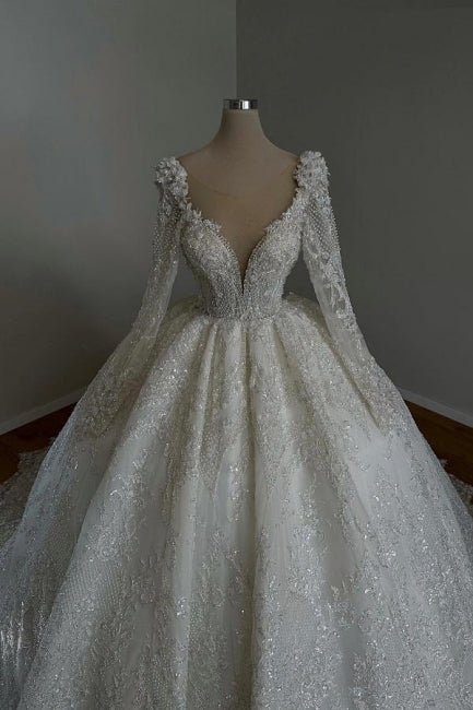 Amazing Long Princess A-line V-neck Lace Beading Wedding Dresses With Long Sleeves