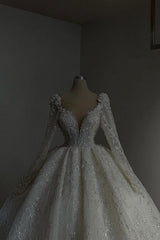 Amazing Long Princess A-line V-neck Lace Beading Wedding Dresses With Long Sleeves