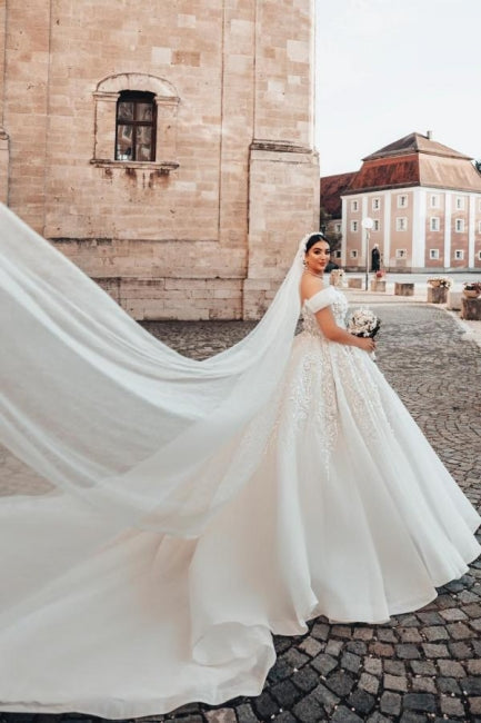 Beautiful Long A-Line Off-the-shoulder Sleeveless Wedding Dresses with Lace