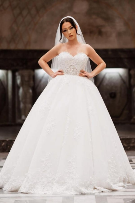 Charming Lace Floor-Length Sleeveless Sweetheart Ball Gown Wedding Dresses with Appliques