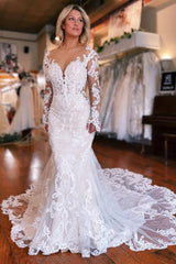 Fabulous Long Mermaid Backless V-neck Lace Wedding Dress With Detachable Train