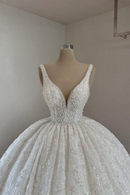 Luxurious Princess Long A-line V-neck Lace Beading Sleeveless Wedding Dresses with Glitter