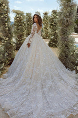 Beautiful A-line V-neck Lace Appliques Tulle Wedding Dress With Long Sleeves-misshow.com