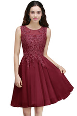 Charming A-Line Scoop Sleeveless Appliques Lace Short Bridesmaid Dresses