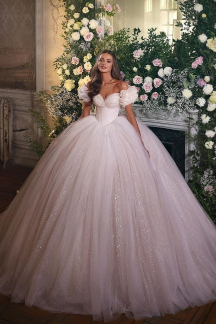 Princess Luxury Wedding Dresses Glitter with Lace-misshow.com